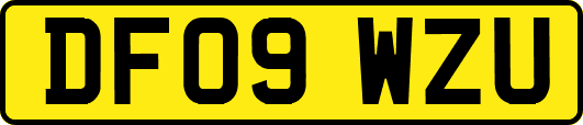DF09WZU