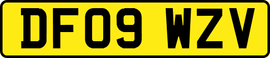 DF09WZV