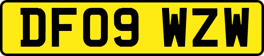 DF09WZW