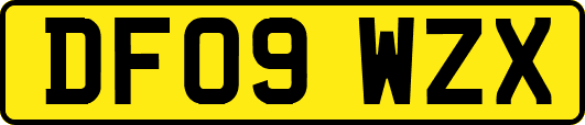 DF09WZX