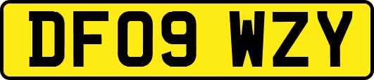 DF09WZY