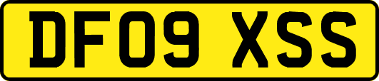DF09XSS
