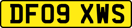 DF09XWS