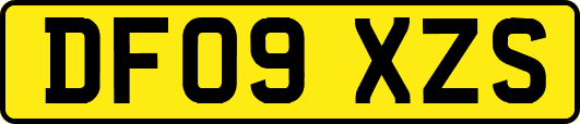 DF09XZS