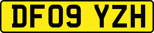 DF09YZH
