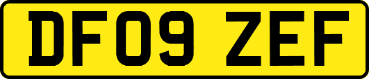 DF09ZEF