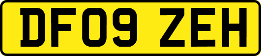 DF09ZEH