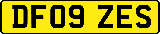 DF09ZES