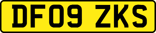DF09ZKS