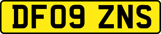 DF09ZNS