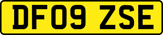 DF09ZSE