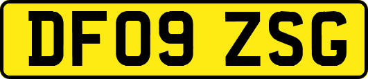 DF09ZSG