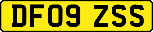 DF09ZSS