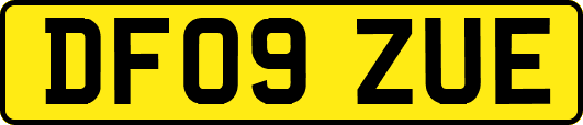 DF09ZUE