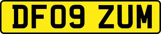 DF09ZUM