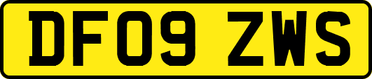 DF09ZWS