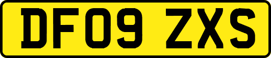 DF09ZXS