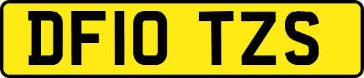 DF10TZS