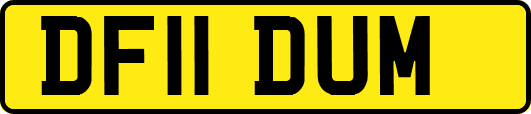 DF11DUM