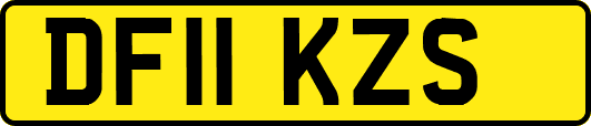 DF11KZS