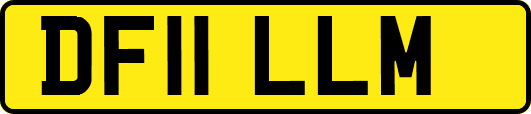 DF11LLM