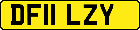 DF11LZY