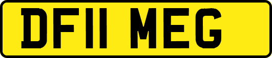 DF11MEG