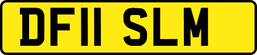 DF11SLM