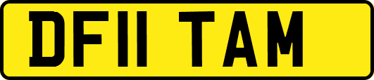 DF11TAM