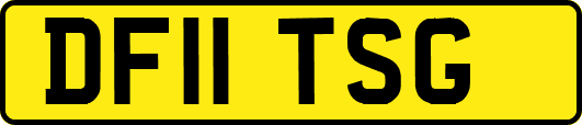 DF11TSG