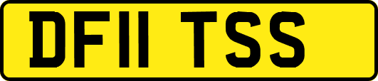 DF11TSS