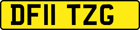 DF11TZG