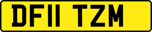 DF11TZM