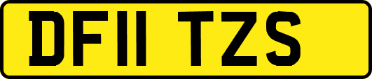 DF11TZS
