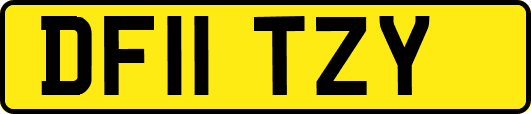 DF11TZY