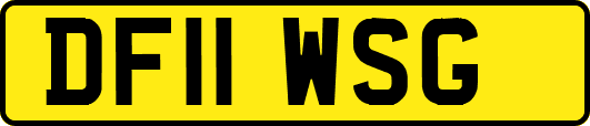 DF11WSG