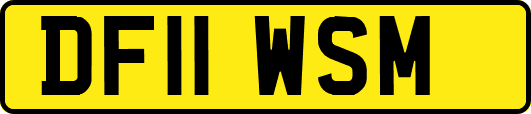 DF11WSM