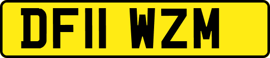 DF11WZM