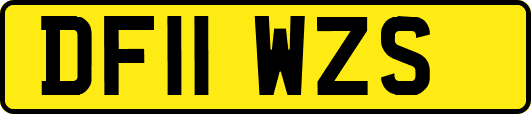 DF11WZS