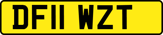 DF11WZT