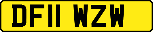 DF11WZW