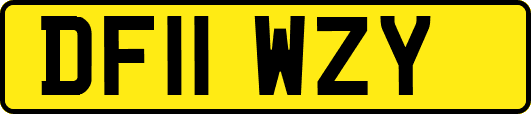 DF11WZY