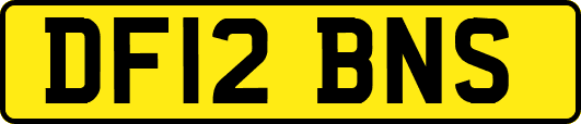DF12BNS