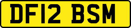 DF12BSM