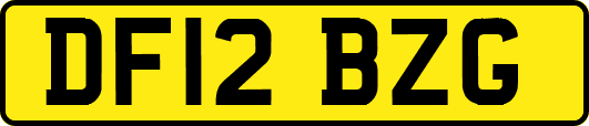 DF12BZG