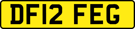 DF12FEG