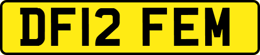 DF12FEM
