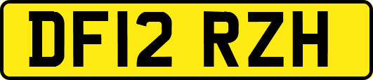 DF12RZH