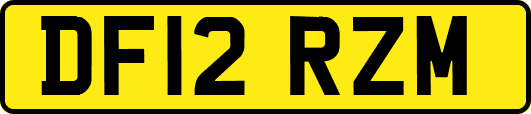 DF12RZM