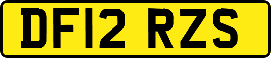 DF12RZS